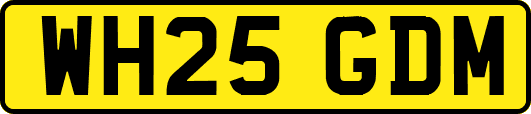 WH25GDM