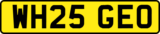 WH25GEO