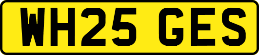 WH25GES