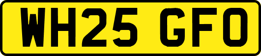 WH25GFO