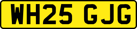 WH25GJG
