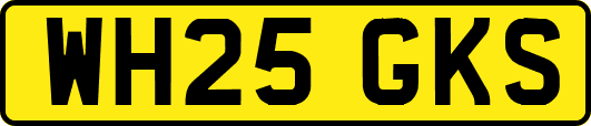 WH25GKS