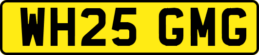 WH25GMG