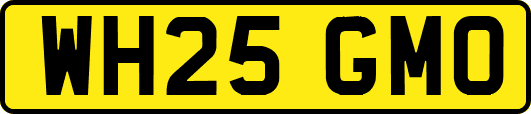 WH25GMO