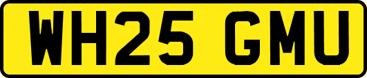 WH25GMU