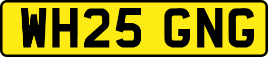 WH25GNG
