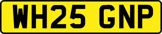WH25GNP
