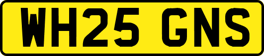 WH25GNS