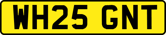 WH25GNT