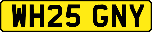 WH25GNY