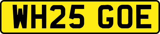 WH25GOE