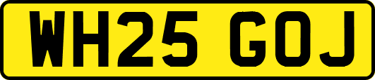 WH25GOJ
