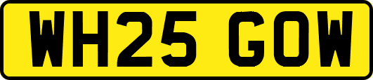 WH25GOW