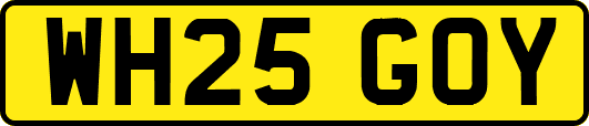 WH25GOY