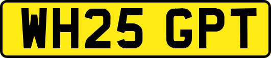 WH25GPT