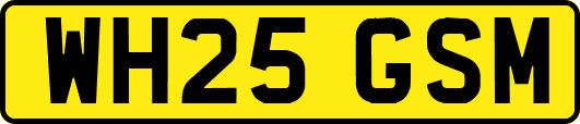 WH25GSM