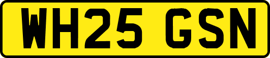 WH25GSN