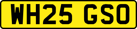 WH25GSO