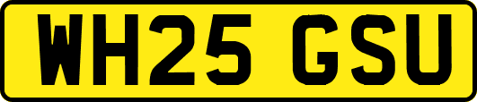 WH25GSU