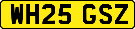 WH25GSZ