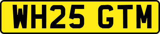 WH25GTM