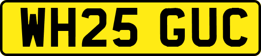 WH25GUC