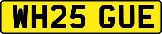 WH25GUE