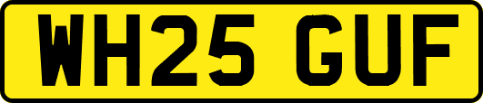 WH25GUF