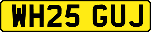 WH25GUJ