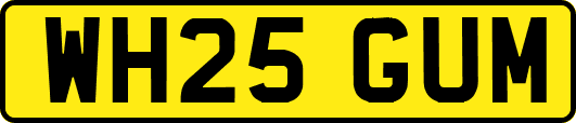 WH25GUM