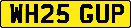 WH25GUP