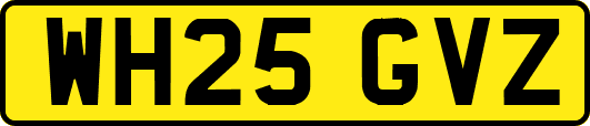 WH25GVZ