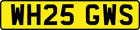 WH25GWS
