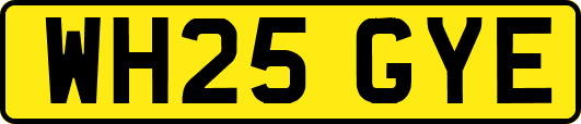 WH25GYE