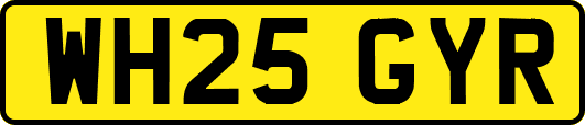 WH25GYR