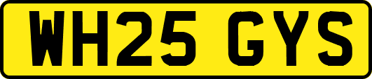 WH25GYS