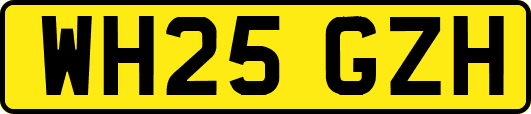 WH25GZH