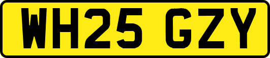 WH25GZY