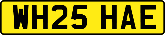 WH25HAE