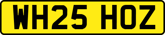 WH25HOZ