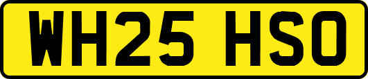 WH25HSO