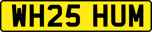 WH25HUM