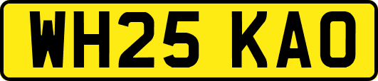 WH25KAO