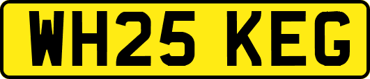 WH25KEG