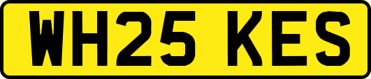 WH25KES