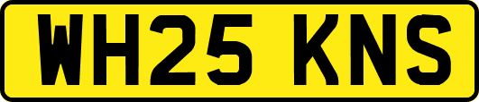 WH25KNS