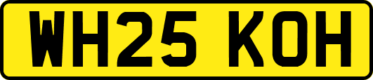 WH25KOH