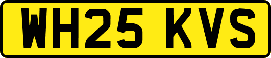 WH25KVS