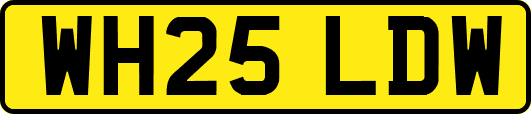 WH25LDW