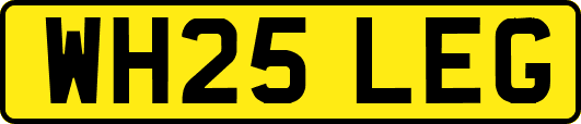 WH25LEG